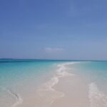 Jozani Forest, Kuza Cave, Paje Beach and The Rock Restaurant - Authentic Experiences from Reviewers