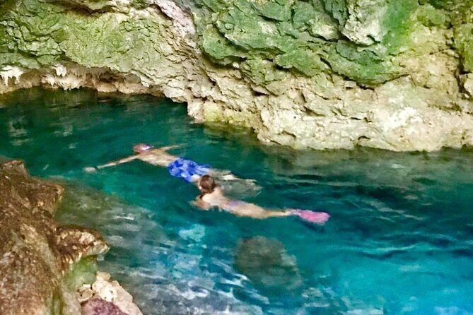 Jozani Forest Kuza Cave The Rock Restaurant and Paje Beach - Dive Into Each Stop