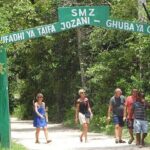 Jozani Forest Tour - Real Experiences: What Travelers Say