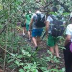 Jozani Forest Tour - Real Experiences and Insights from Reviewers