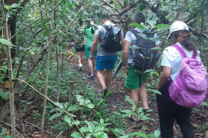 Jozani Forest Tour - Real Experiences and Insights from Reviewers