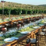 Judean Hills Wine Tasting Tour From Tel Aviv - Who Should Consider This Tour?