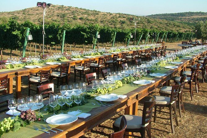Judean Hills Wine Tasting Tour From Tel Aviv - Who Should Consider This Tour?