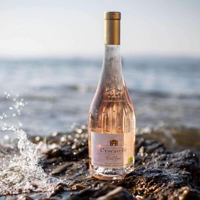 july-4-2025-workshop-at-chateau-lescarelle-food-rose-pairings