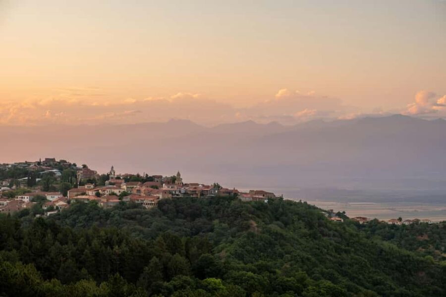 Kakheti, City of Love Sighnaghi Bodbe Monastery Tour - What’s Included and What’s Not