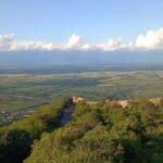 Kakheti: wine region and free wine tasting - The Itinerary: A Day in Kakheti’s Most Charming Spots