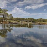 Karavasta:Bird Watching, Tower Views & Lagoon Exploration - The Value of the Experience