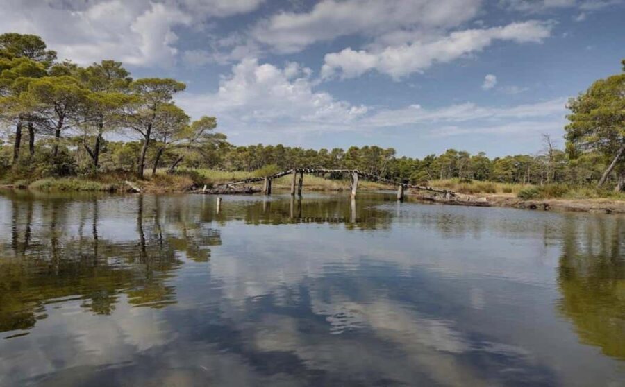 Karavasta:Bird Watching, Tower Views & Lagoon Exploration - The Value of the Experience