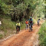 Karura Forest Hiking and Bike Tour - The Itinerary: A Step-by-Step Breakdown