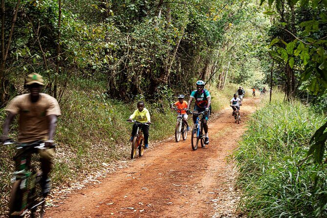 Karura Forest Hiking and Bike Tour - The Itinerary: A Step-by-Step Breakdown