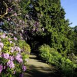 Kassel: Ready for the island?! Karlsaue and Siebenbergen in the scent of spring - Practical details and considerations