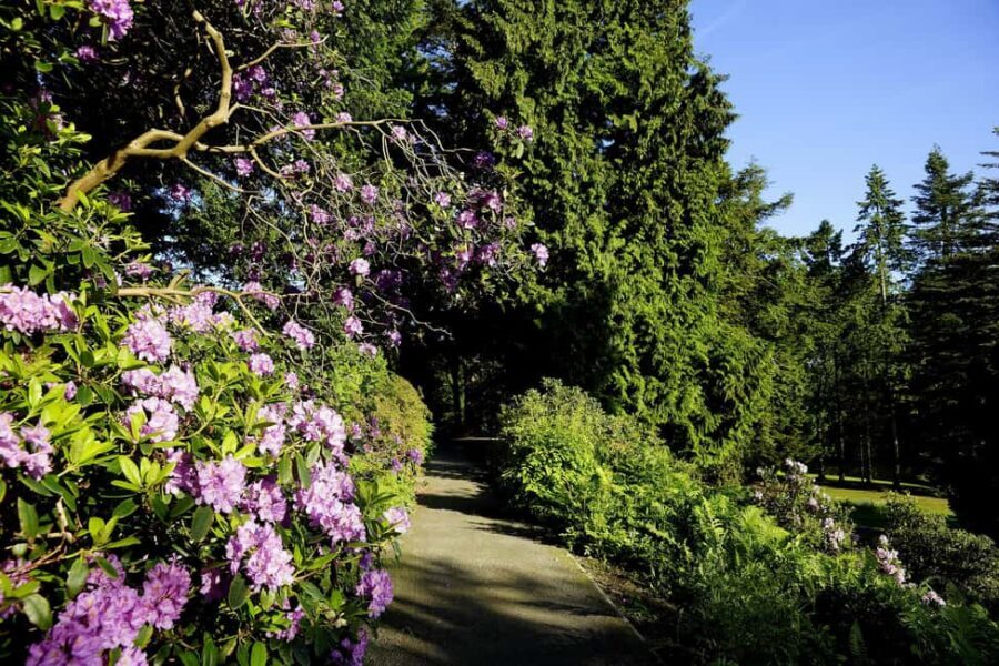 Kassel: Ready for the island?! Karlsaue and Siebenbergen in the scent of spring - Practical details and considerations