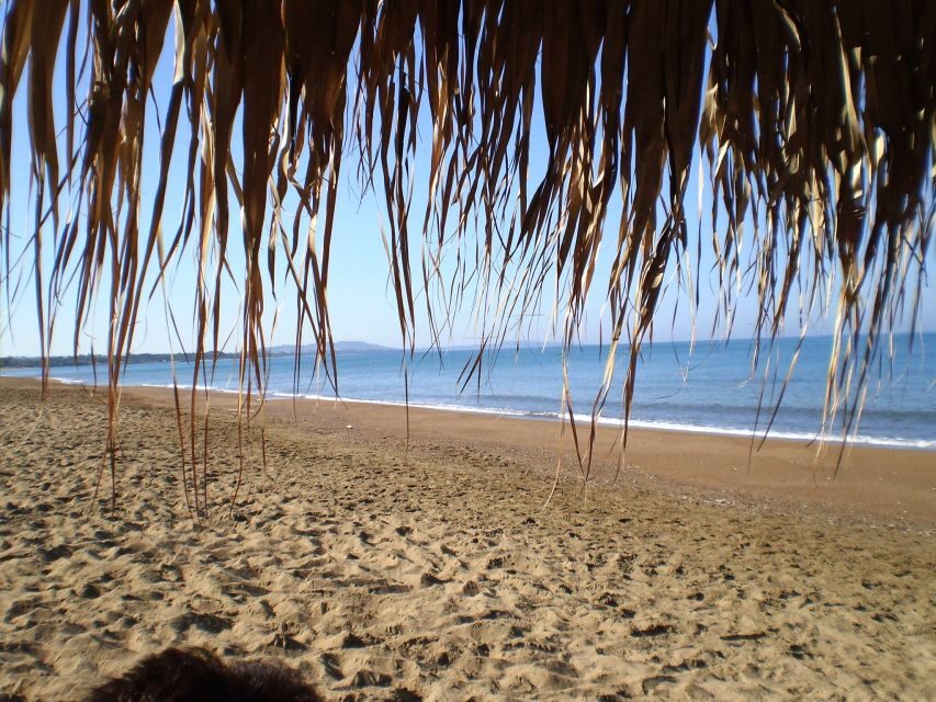 Katakolo: Ancient Olympia and Kourouta Beach Guided Tour - The Limitations and the Charm of the Short Visit