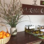 Katakolon 7hour tour : Olympia-Honey Farm-Winery-Beach - What Reviewers Say