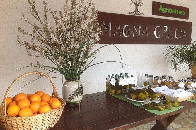 Katakolon 7hour tour : Olympia-Honey Farm-Winery-Beach - What Reviewers Say