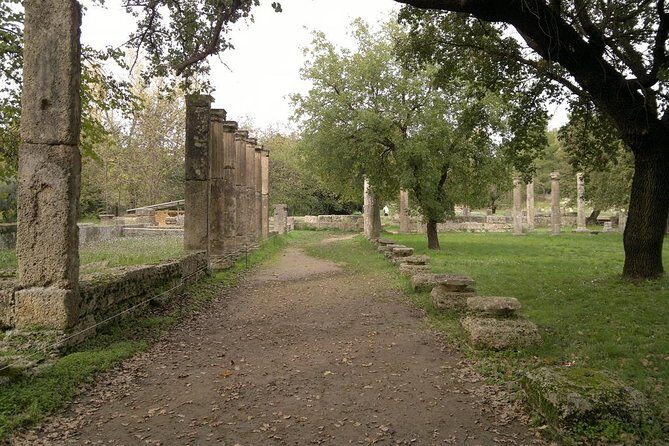 Katakolon Shore Excursion: Private Tour of Ancient Olympia and Archeological Site - The Real-World Experience: What Travelers Say