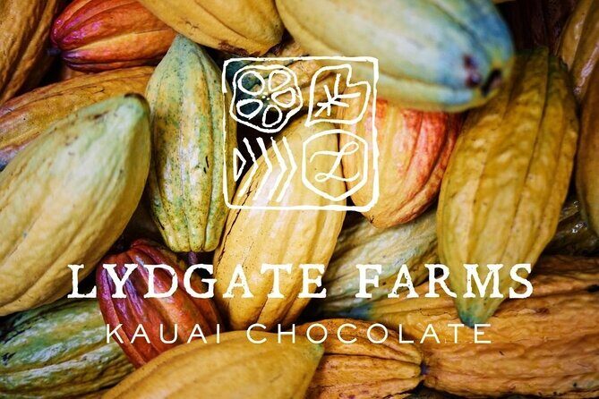 Kauai Chocolate Farm Tasting Tour - What to Expect During Your Kauai Chocolate Farm Tasting Tour