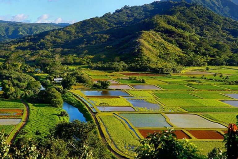 Kauai: Highlights & Movie Sites - Why This Tour Offers Good Value