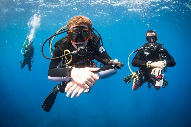 Kauai's Ultimate Discover Scuba Dive - OCEAN EXPERIENCE (1 Tank Dive) - The Dive Itself: Marine Marvels