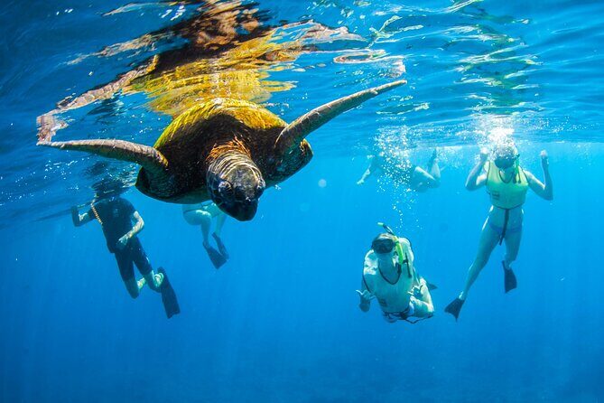 Kauai's Ultimate South Island Zodiac Boat Snorkel Adventure - The Zodiac Ride: Speed, Safety, and Fun