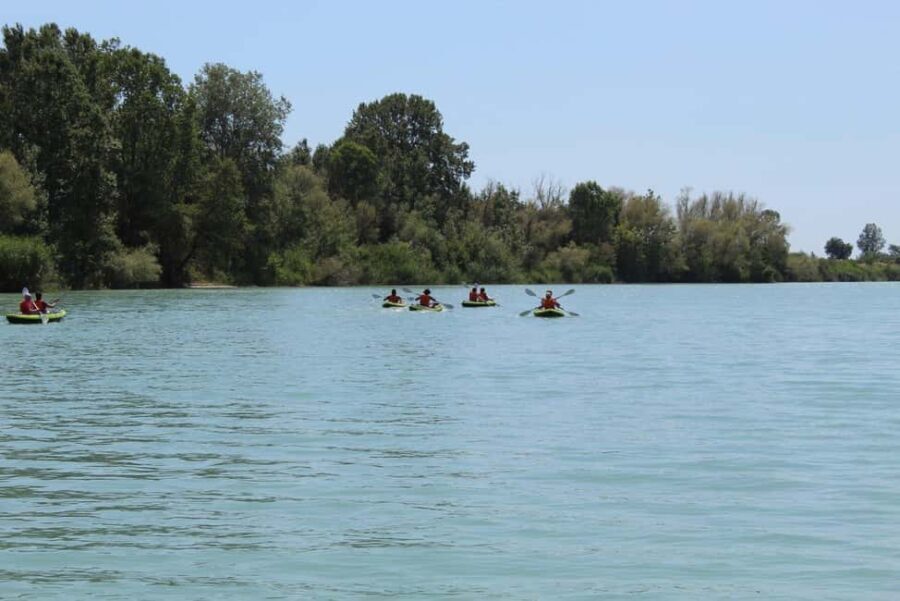 Kayak Adventure from Vlorë: Vjosa River to the Adriatic Sea - Who Would Love This Tour?
