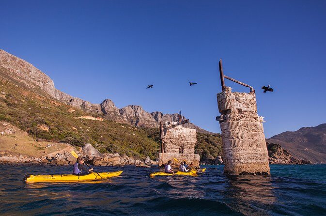 Kayak Chapman's Peak and Karbonkelberg in Hout Bay - Who Will Love This Kayak Tour?