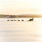 Kemijärvi: Insider Husky Self-Drive 5km Safari - What Does the Experience Entail?