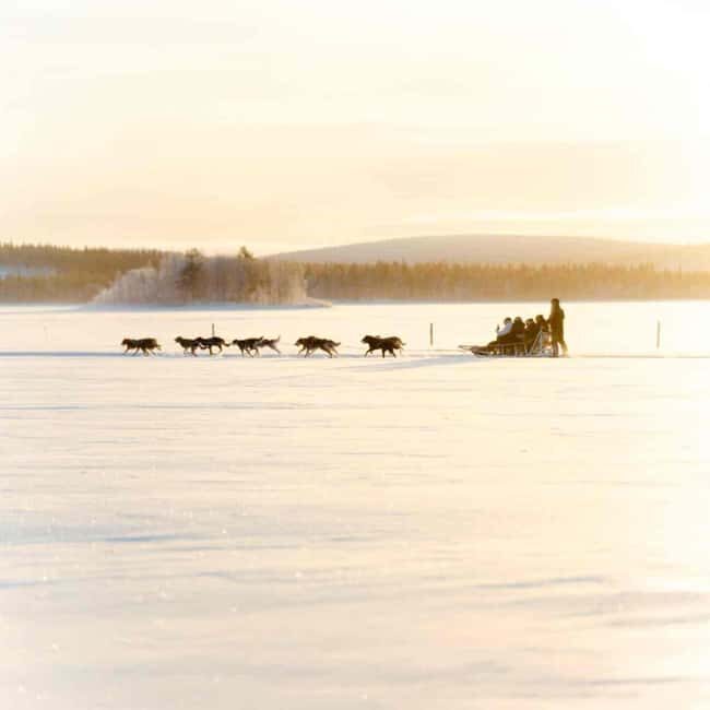 Kemijärvi: Insider Husky Self-Drive 5km Safari - What Does the Experience Entail?