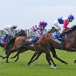 Kenilworth Raceday Tour - The Experience Beyond the Races
