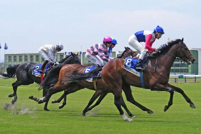 Kenilworth Raceday Tour - The Experience Beyond the Races