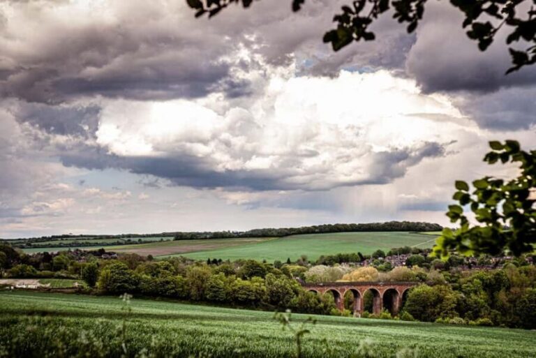 Kent: Eagle Heights Wildlife Foundation Entry Ticket - The Highlights: What You Can Expect