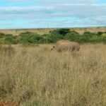 Kenya safari - Final Thoughts