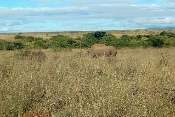 Kenya safari - Final Thoughts
