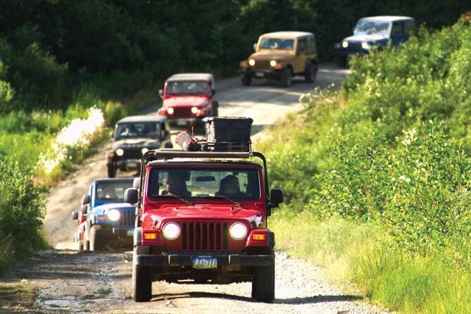 Ketchikan Jeep and Canoe Safari - What to Expect and Practical Tips