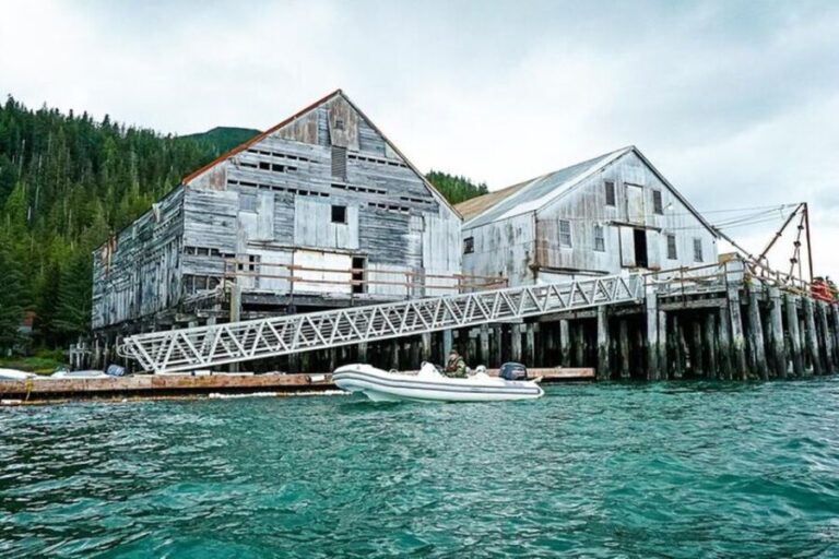 Ketchikan: Scenic Drive & George Inlet Fjords Zodiac Cruise - Practical Aspects and Value
