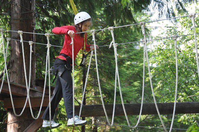 Ketchikan Shore Excursion: Rainforest Canopy Ropes and Zipline Adventure Park - Why This Tour Offers Good Value