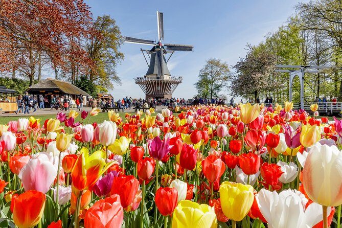 Keukenhof Gardens & Tulip Experience Tour from Amsterdam - Who Should Consider This Tour?