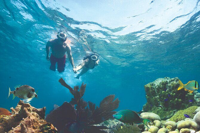 Key West Double-Dip Snorkel Tour-Two Stops, Twice the Fun! - Authentic Feedback from Other Travelers