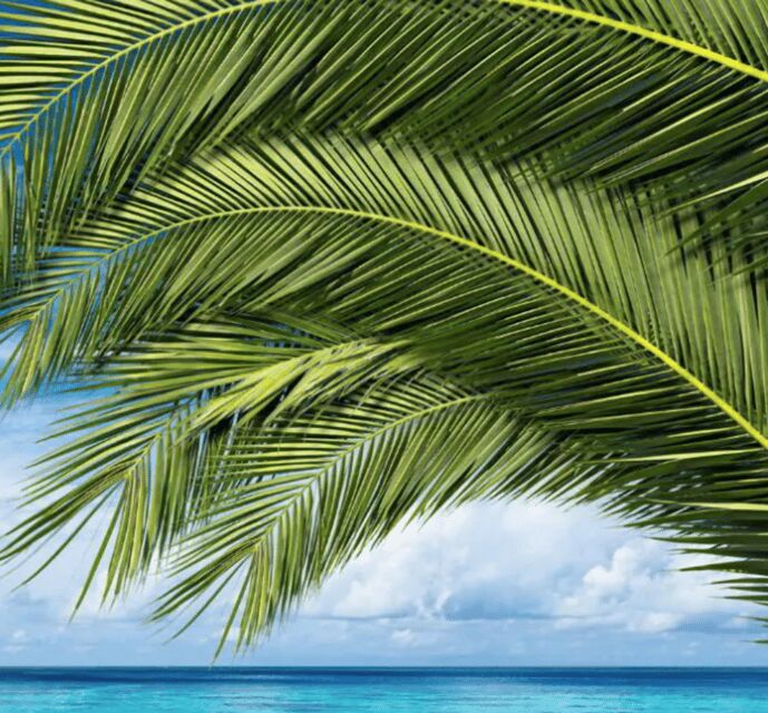 Key West: Luggage Services - Why This Service Is Practical for Different Travelers