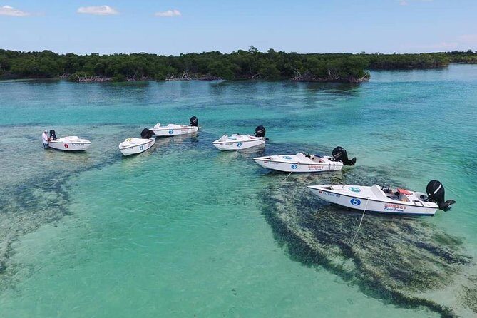 Key West Safari Eco Sandbar Tour Adventure with Snorkeling - What Makes this Tour a Great Value