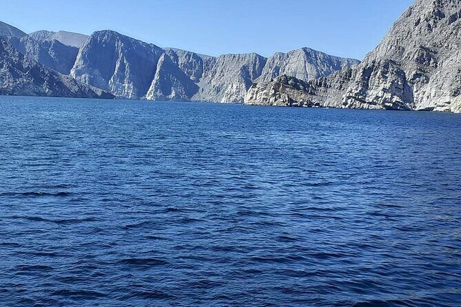 Khasab Dhow cruise-Half day with summing, dolphin watching - The Value of This Tour