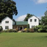 Kiambethu Tea Farm Tour & Lunch From Nairobi - Why This Tour Is a Great Choice