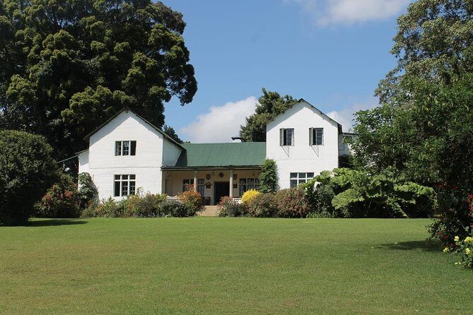 Kiambethu Tea Farm Tour & Lunch From Nairobi - Why This Tour Is a Great Choice