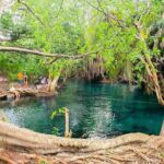 Kikuletwa Hot spring - Detailed Breakdown of the Itinerary