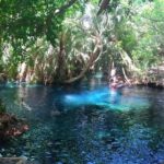 Kikuletwa Hot Spring Day Tour - What to Expect from the Kikuletwa Hot Spring Day Tour