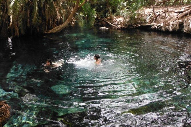 Kikuletwa Hotspring Day Trip - An Honest Look at the Kikuletwa Hot Springs Day Trip