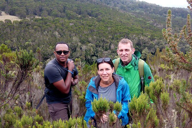 Kilimanjaro 1 Day Hike - What Makes This Tour Stand Out?