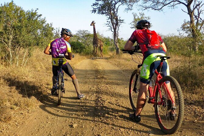 Kilimanjaro bike park safari - What’s Included and What to Consider