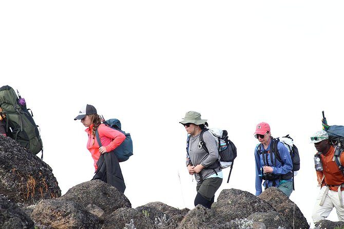 Kilimanjaro Climb- 8 Days Lemosho Route - What to Expect on the Trek