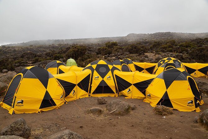 Kilimanjaro climb, Lemosho Route (6-day) - Authentic Experiences from Reviewers